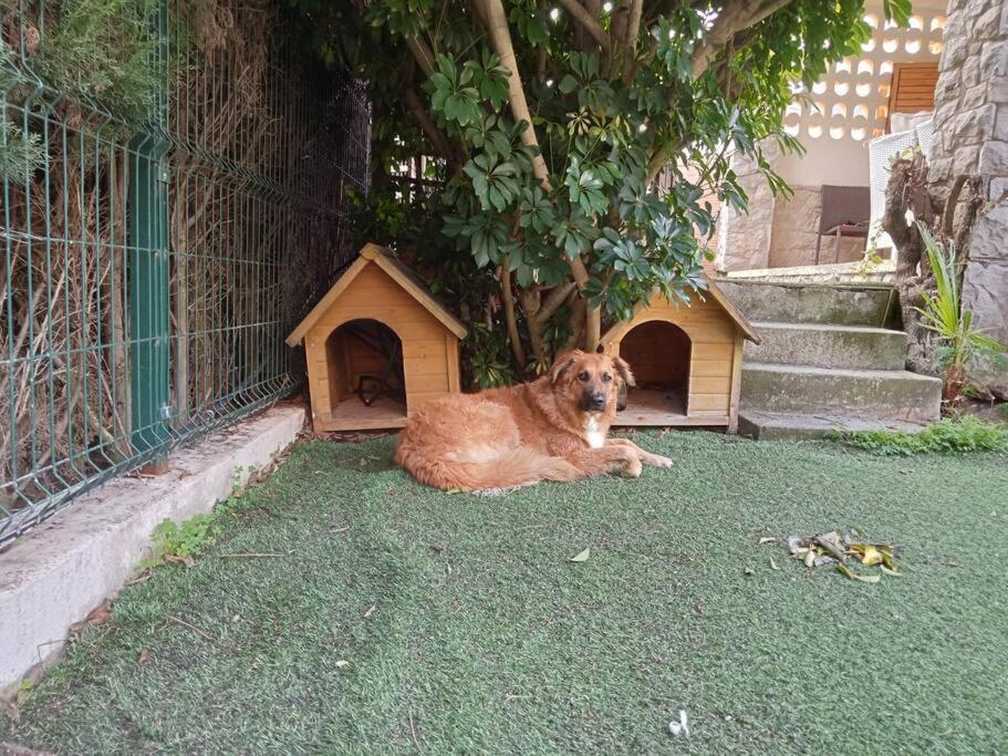 Adosado Al Lado Del Torreon Villa Benicàssim Esterno foto